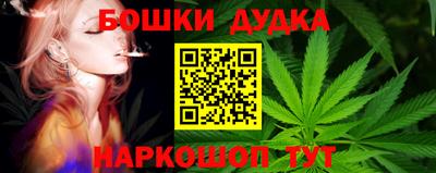 стафф Бердск