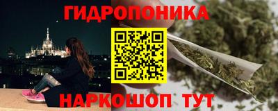 стафф Бердск