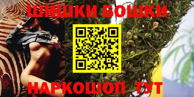 стафф Бердск