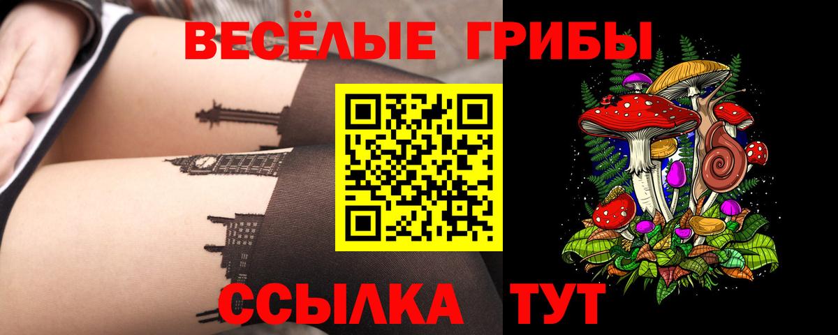 Галлюциногенные грибы мицелий  Псилоцибиновые грибы мухоморы  Вход с VPN  Ачхой-Мартан 